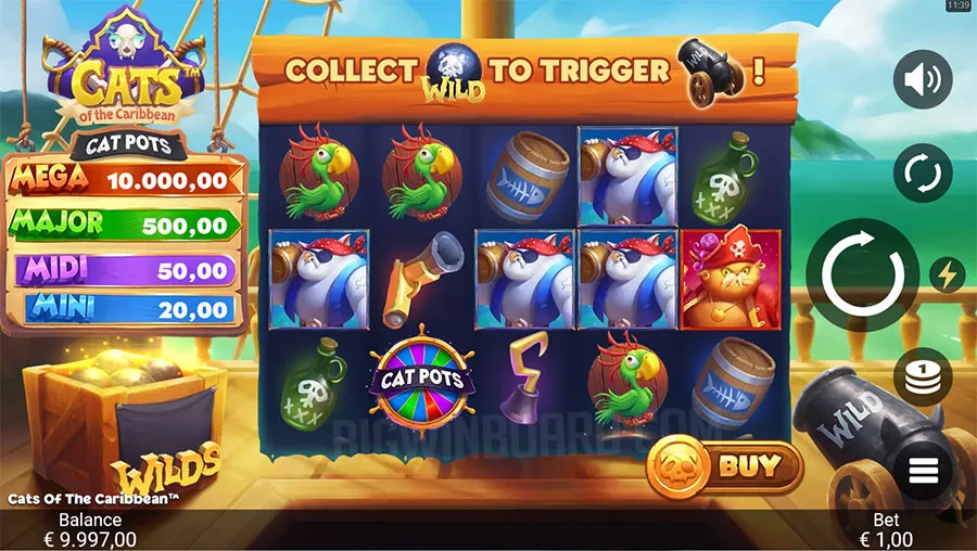 Cats of the Caribbean slot