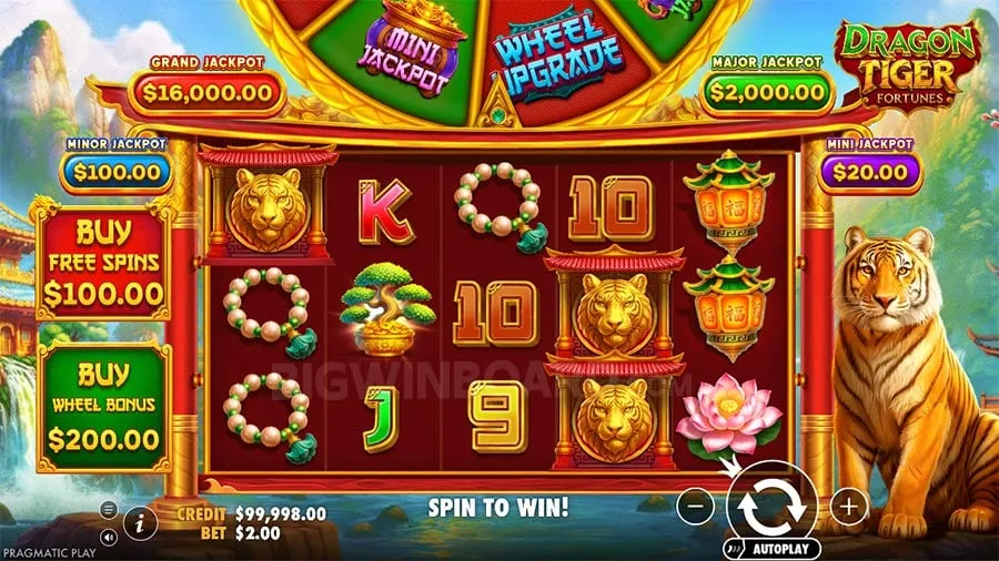 Dragon Tiger Fortunes slot