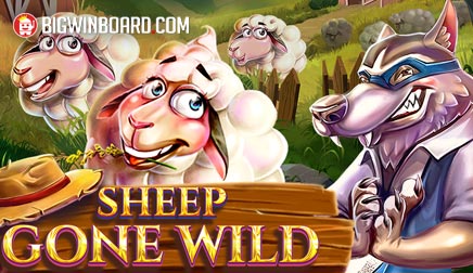 Sheep Gone Wild