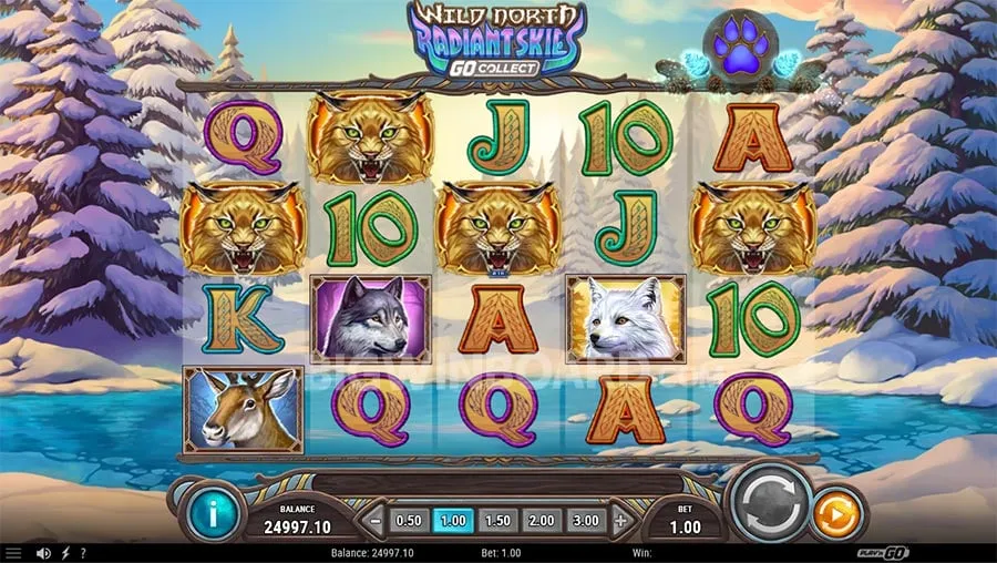 Wild North Radiant Skies Go Collect slot