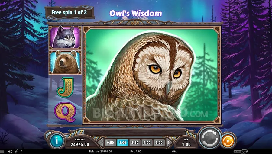 Wild North Radiant Skies Go Collect slot