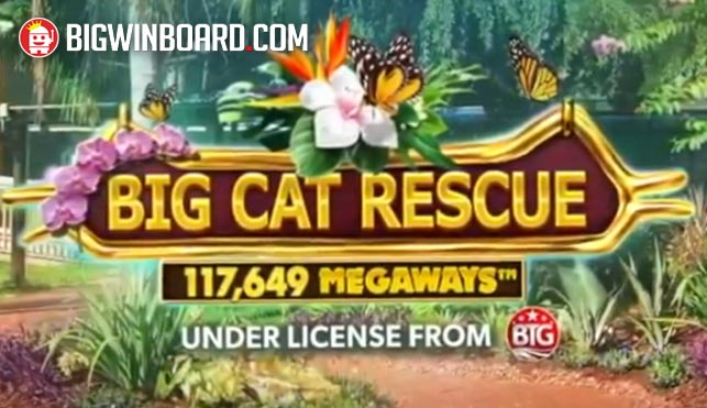 Big Cat Rescue Megaways
