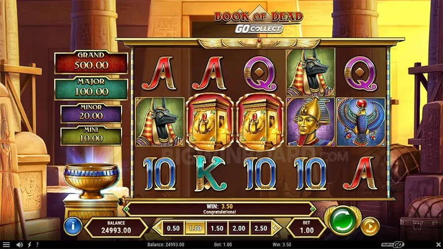 Book of Dead GO Collect slot