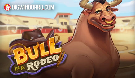 Bull in a Rodeo