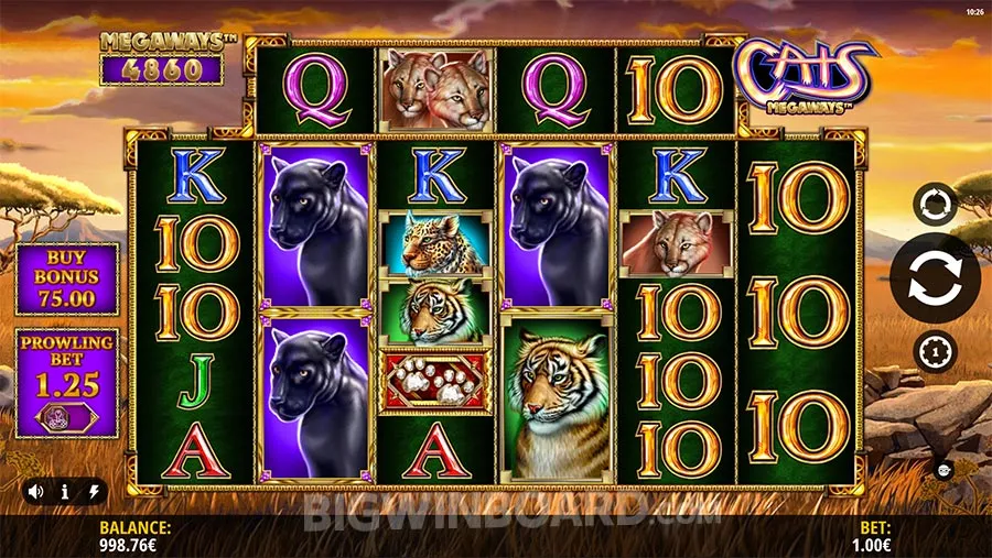 Cats Megaways slot