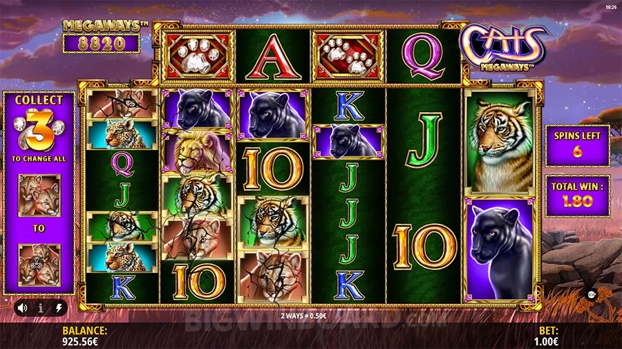 Cats Megaways slot