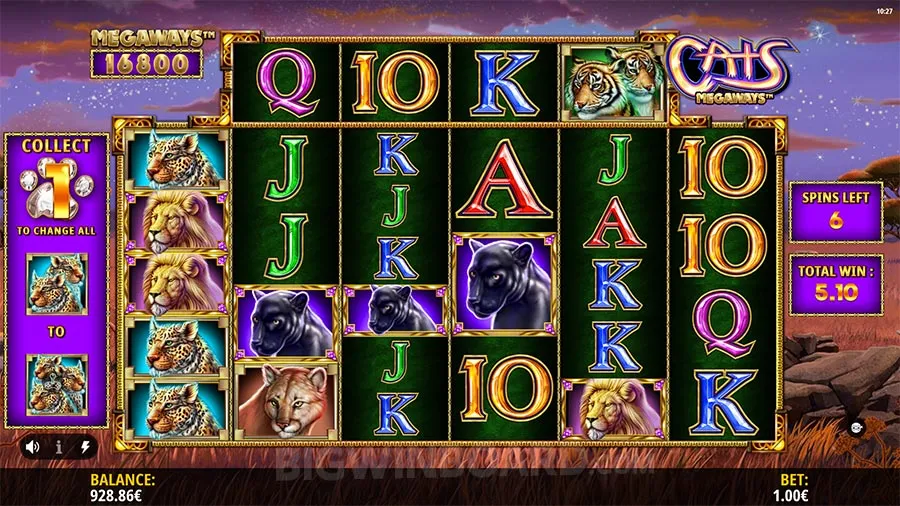 Cats Megaways slot