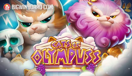 Cats of Olympuss