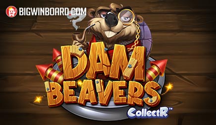 Dam Beavers