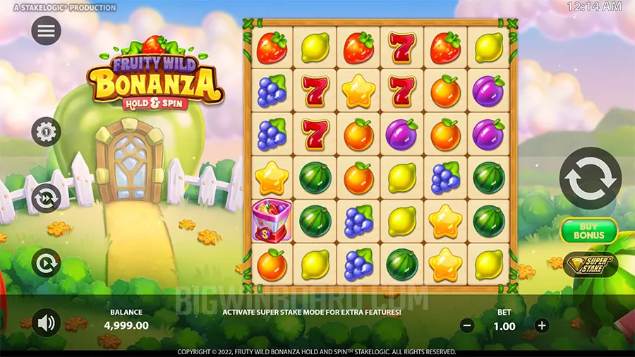 Fruity Wild Bonanza slot