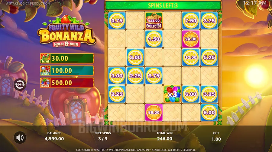 Fruity Wild Bonanza slot