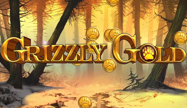 Grizzly Gold