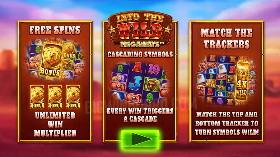 Into The Wild Megaways slot