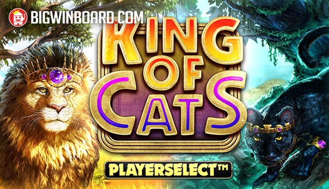 King of Cats Megaways