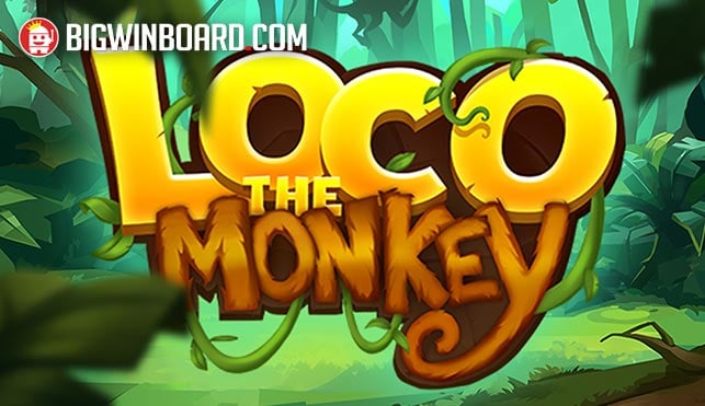 Loco The Monkey