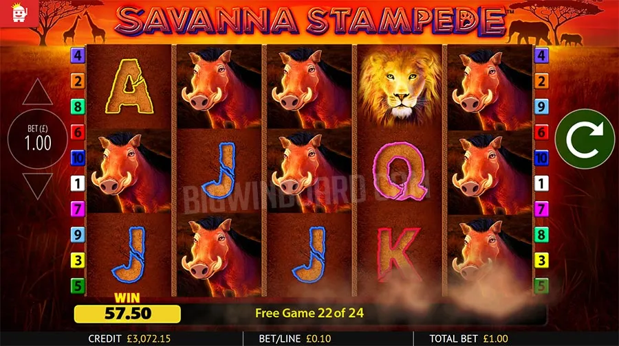 savanna stampede