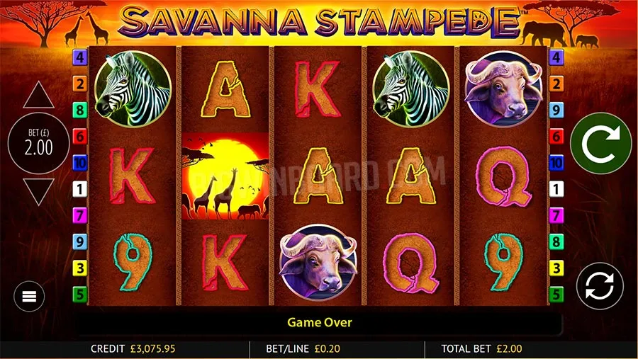 savanna stampede