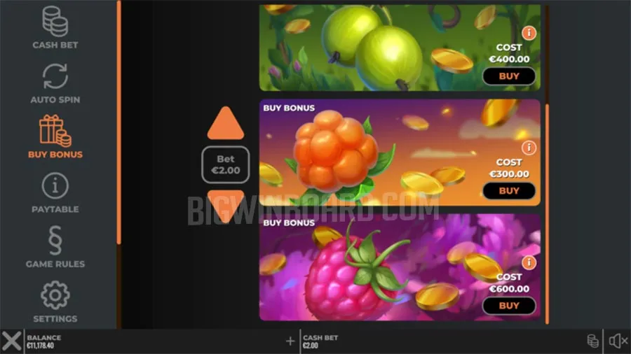 Winterberries 2 slot